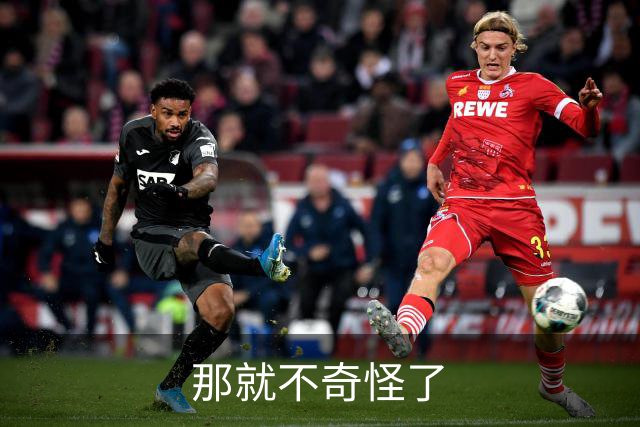 那就不奇怪了