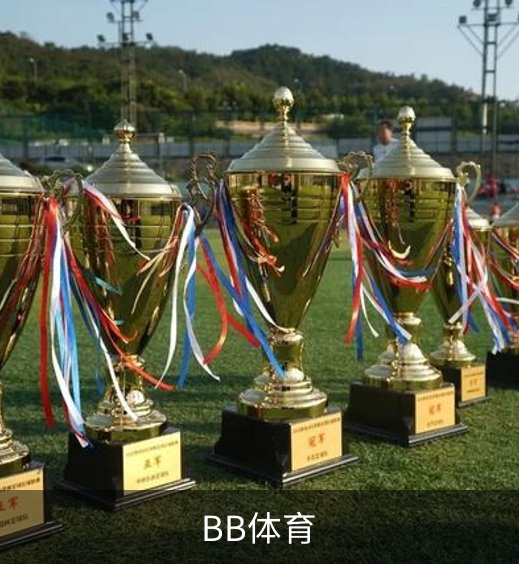 企业简介